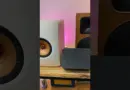 🤔 Vous êtes perdu avec les connectiques de vos enceintes HiFi ?