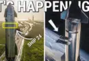 Why SpaceX Need Starship To Launch GEN2 Starlink Satellites!