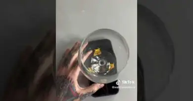 Wine Glass Hologram 🍷🪞🌈