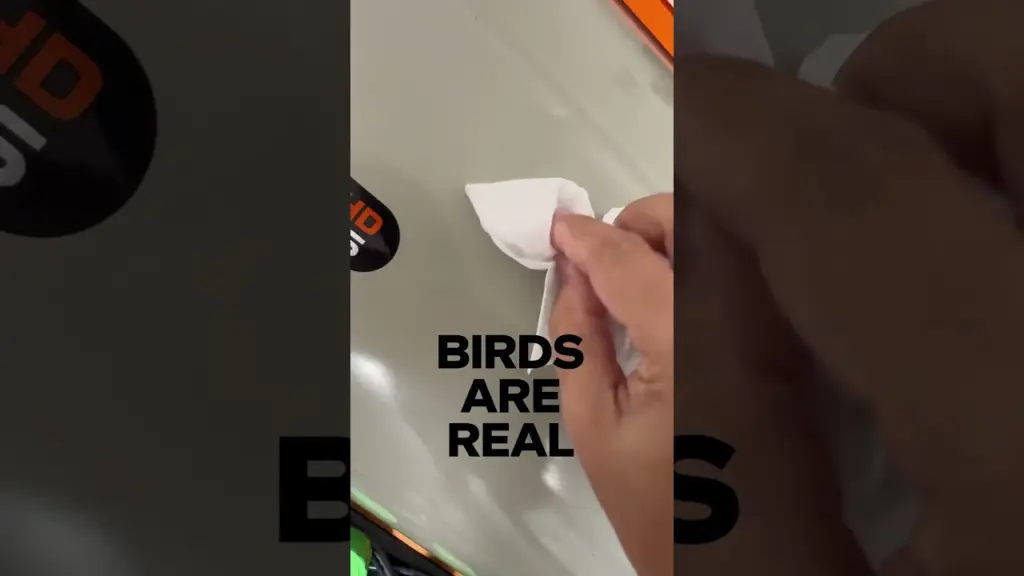 birds are real. #astrophotography