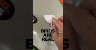 birds are real. #astrophotography