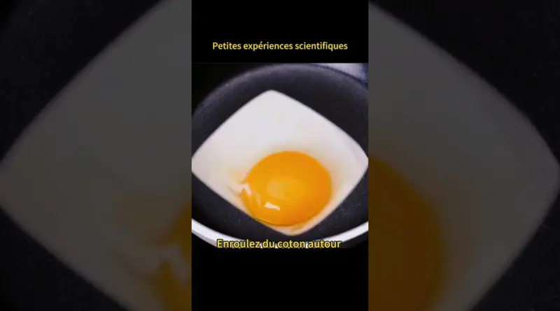 expérience facile