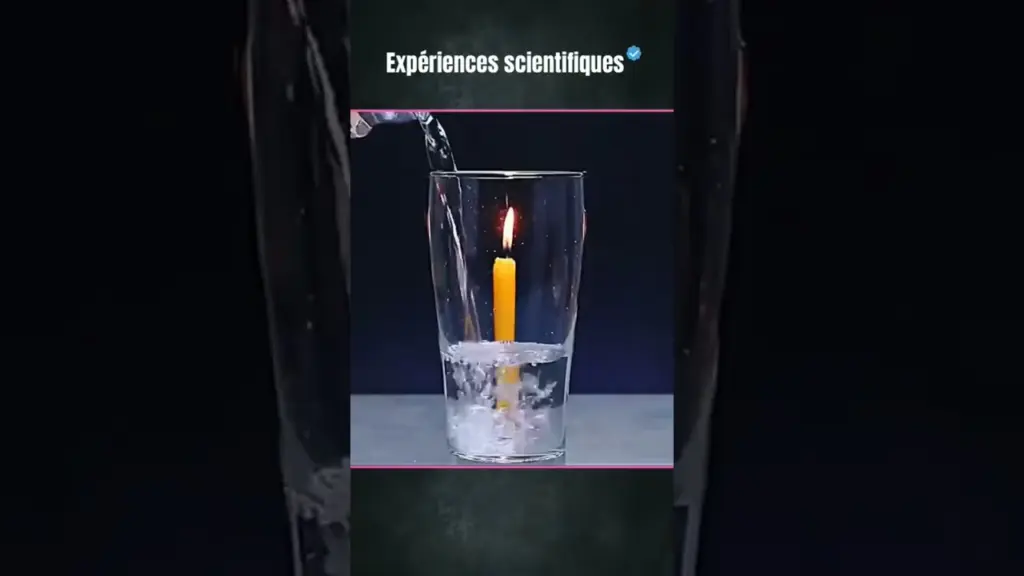 expérience scientifique 2023