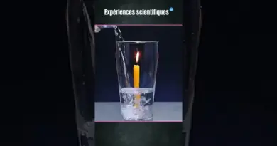 expérience scientifique 2023