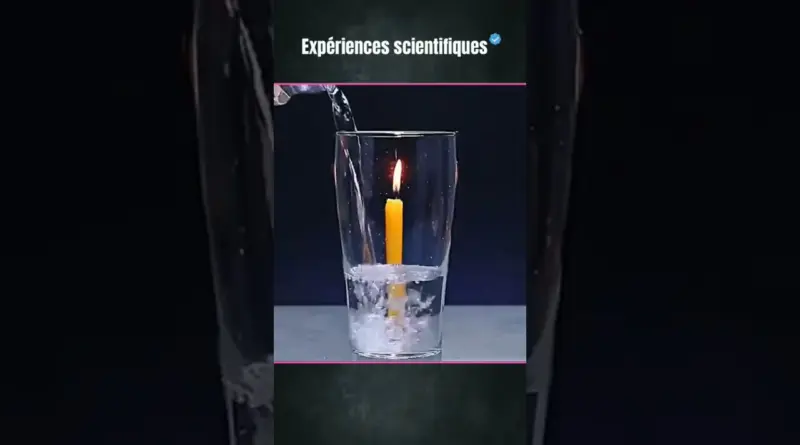 expérience scientifique 2023