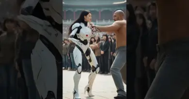 kungfu robot #robot #robots