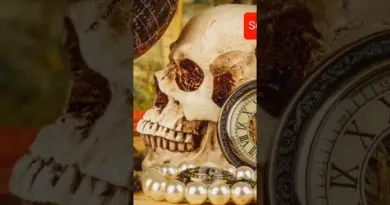 les inventions Bizarre de l’ histoire #InventionsBizarres#HistoireInsolite